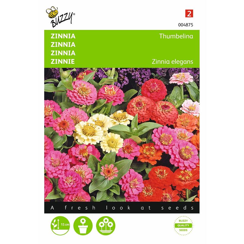 Foto van 2 stuks zinnia elgegans thumbelina gemengd