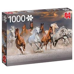 Foto van Jumbo legpuzzel woestijnpaarden 1000 stukjes