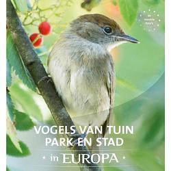 Foto van Vogels van tuin, park en stad in europa