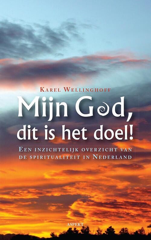 Foto van Mijn god, dit is het doel - karel wellinghoff - ebook (9789464621624)