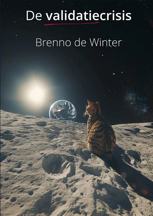 Foto van De validatiecrisis - brenno de winter - ebook