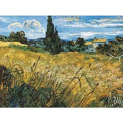 Foto van Vincent van gogh - campo di grano kunstdruk 80x60cm