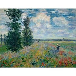 Foto van Claude monet - les coquelicots kunstdruk 90x70cm