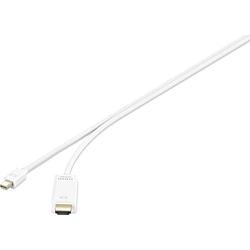 Foto van Renkforce mini-displayport / hdmi adapterkabel mini displayport stekker, hdmi-a stekker 0.50 m wit rf-3697532 vergulde steekcontacten displayport-kabel