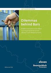 Foto van Dilemmas beyond bars - milou van dijk - ebook