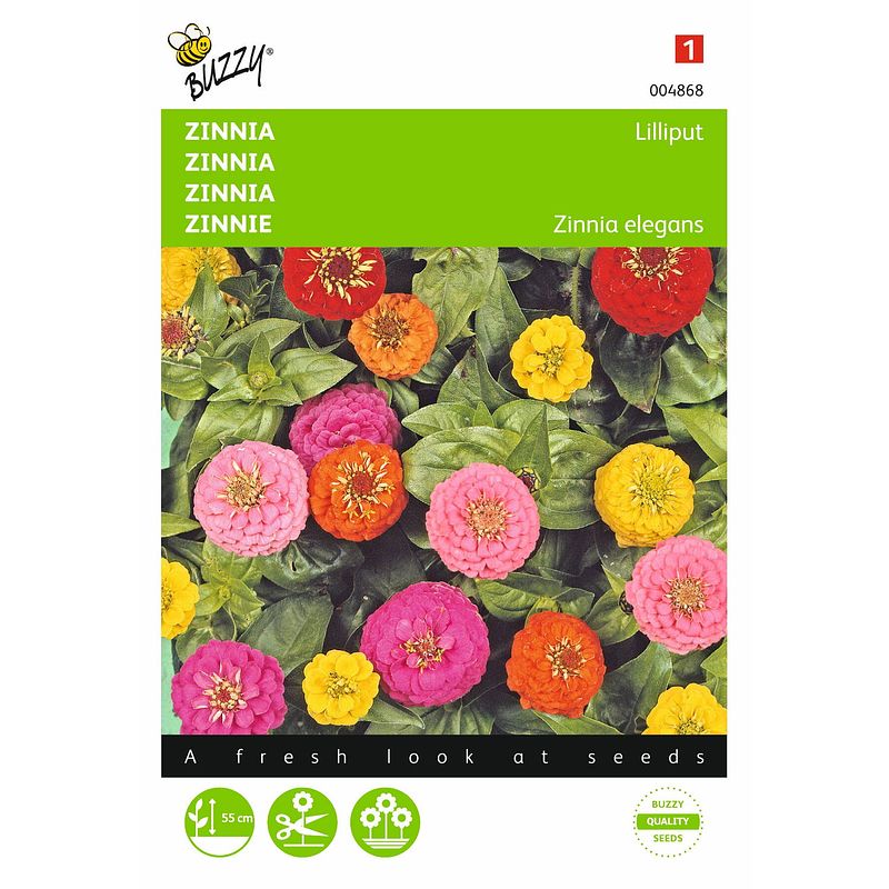 Foto van 2 stuks zinnia elegans liliput pompon dubbelbl. gemengd