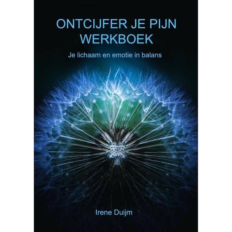 Foto van Ontcijfer je pijn werkboek