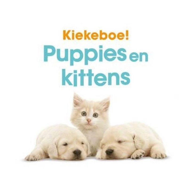 Foto van Memphis belle zoek- en raadboek kiekeboe! puppies en kittens