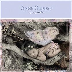 Foto van Anne geddes kalender 2023