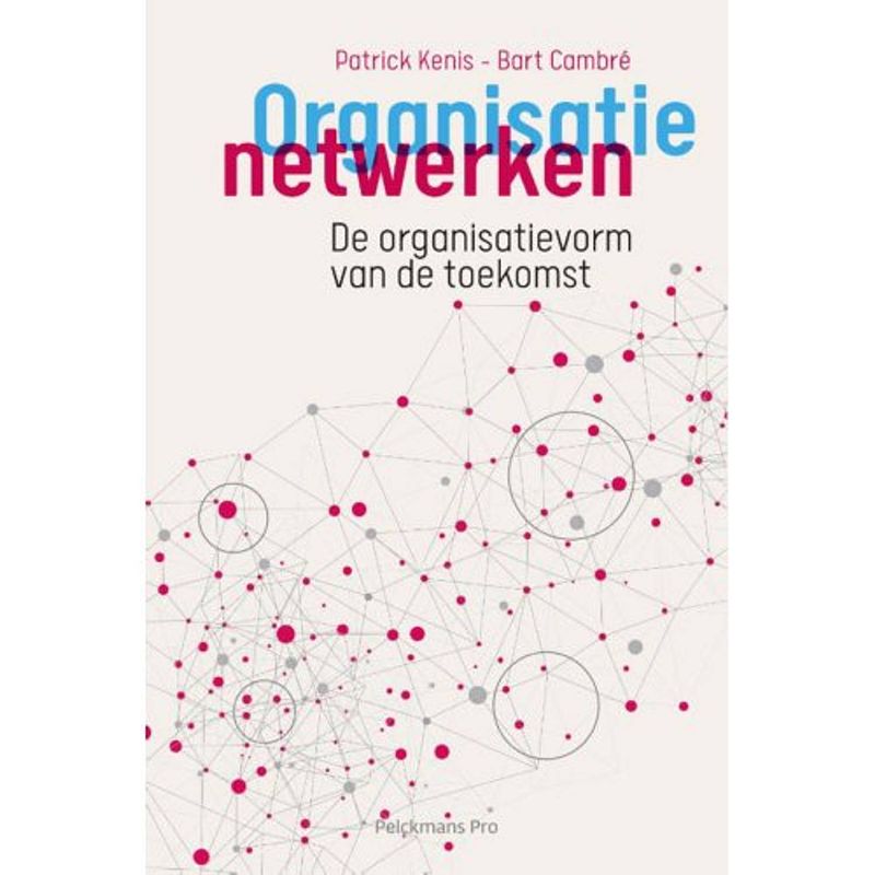 Foto van Organisatienetwerken