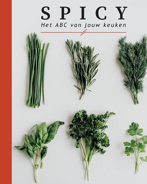 Foto van Spicy - aron woonink, bente van oort - paperback (9789464438703)