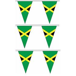 Foto van 3x polyester vlaggenlijn jamaica 5 meter - vlaggenlijnen