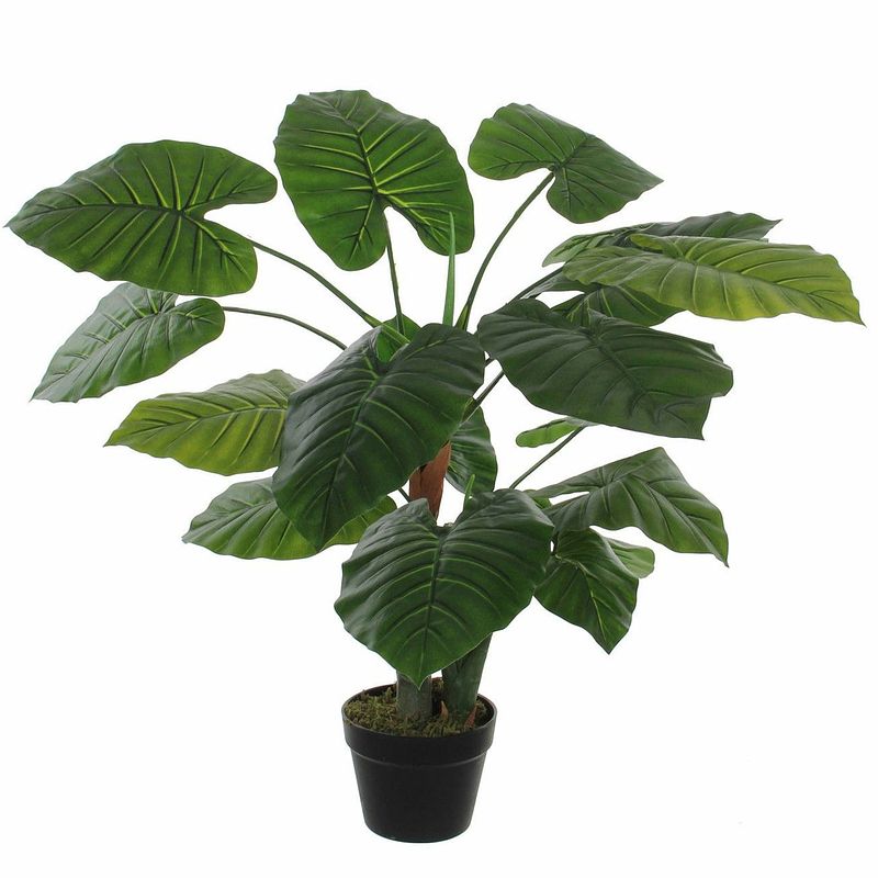 Foto van Groene kunstplant colocasia taro succulent plant in pot 90 cm - kunstplanten