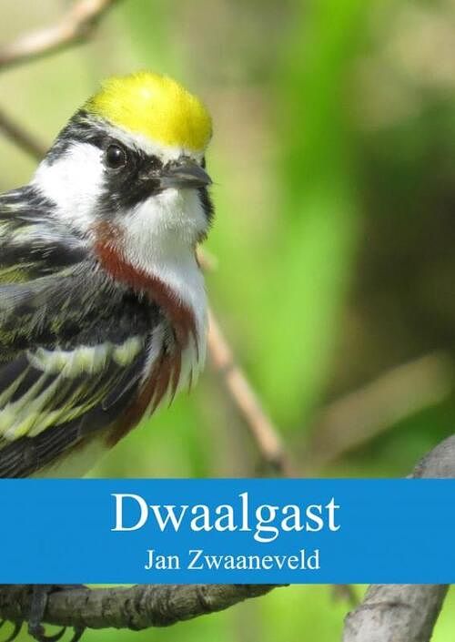 Foto van Dwaalgast - jan zwaaneveld - paperback (9789402194821)