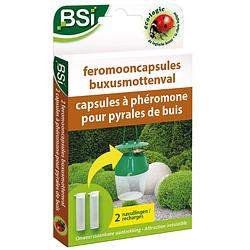 Foto van Bsi feromooncapsules buxusmottenval 2 stuks