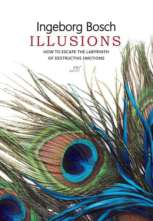 Foto van Illusions - ingeborg bosch - ebook (9789080704947)