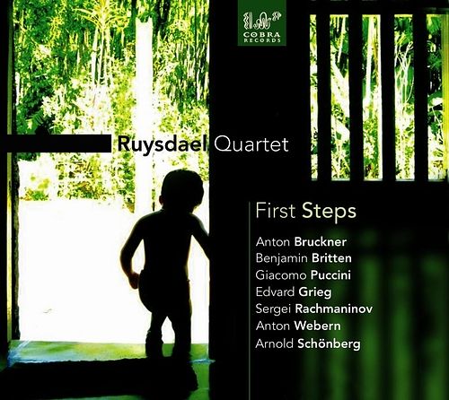 Foto van First steps - cd (8713897902310)