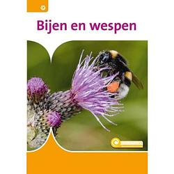 Foto van Bijen en wespen - informatie