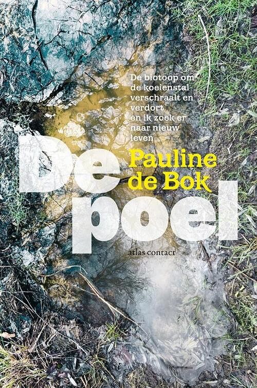 Foto van De poel - pauline de bok - ebook (9789045040837)