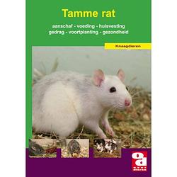 Foto van De tamme rat - over dieren