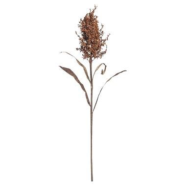 Foto van Wild dried look millet spray - oranje - 82 cm - leen bakker