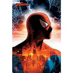 Foto van Pyramid spider man protector of the city poster 61x91,5cm