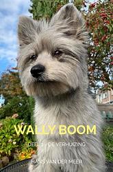 Foto van Wally boom - hans van der meer - ebook