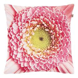 Foto van Dutch decor sindy - sierkussen met bloemenprint roze 45x45 cm - roze