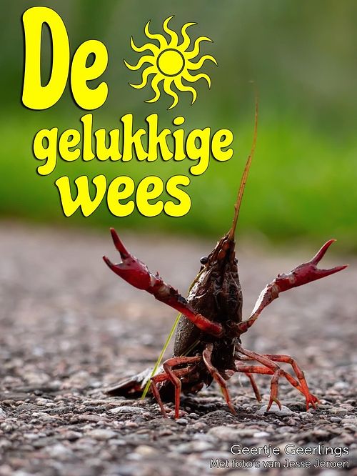 Foto van De gelukkige wees - geertje geerlings - ebook