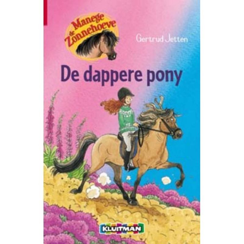 Foto van De dappere pony - manege de zonnehoeve