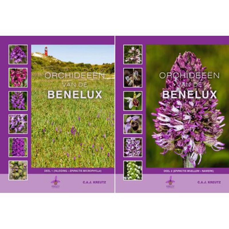 Foto van Orchideeën van de benelux