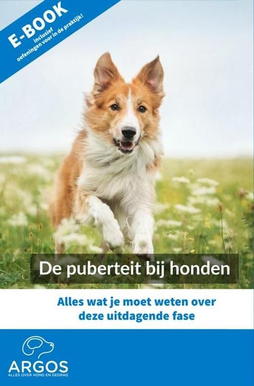 Foto van De puberteit bij honden - kenniscentrum argos - ebook (9789402181685)