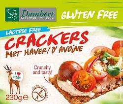 Foto van Damhert gluten free haver crackers lactose free