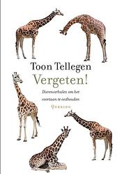 Foto van Vergeten! - toon tellegen - ebook (9789021446080)