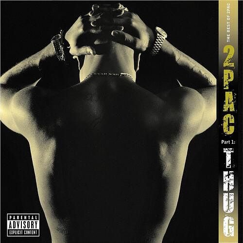 Foto van The best of 2pac - pt.1: thug - cd (0602517478527)