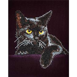 Foto van Diamond dotz hobbyset midnight cat - 28 x 36 cm