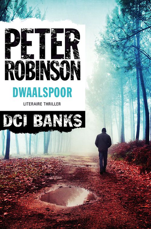 Foto van Dwaalspoor - peter robinson - ebook (9789044969382)