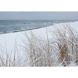 Foto van Inductiebeschermer - snowy beach - 78x78 cm