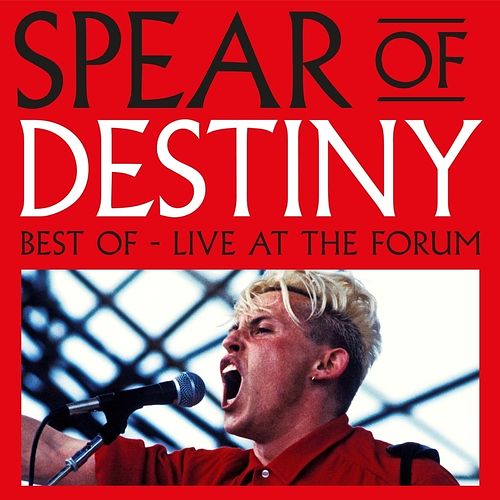 Foto van Best of live at the forum - lp (5036436136728)