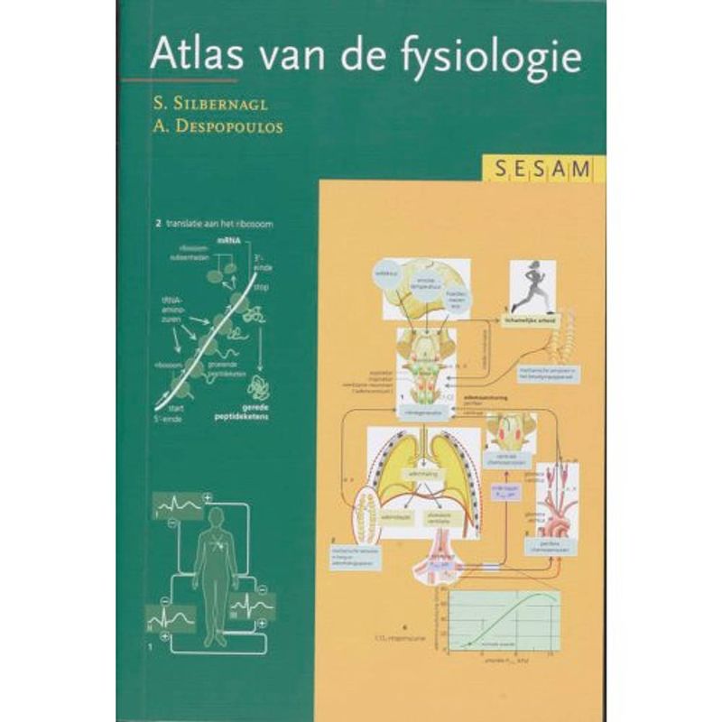 Foto van Sesam atlas van de fysiologie