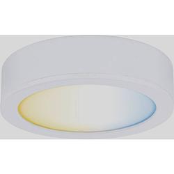 Foto van Paulmann cc disc onderbouwlamp 2.10 w warmwit wit