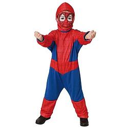 Foto van Spinnen held kostuum voor kinderen - t-00