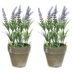 Foto van 2x groene/paarse lavandula/lavendel kunstplant 25 cm in betonpot - kunstplanten