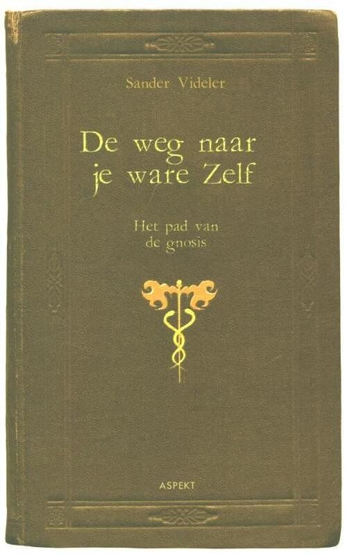 Foto van De weg naar je ware zelf - sander videler - ebook (9789464620764)