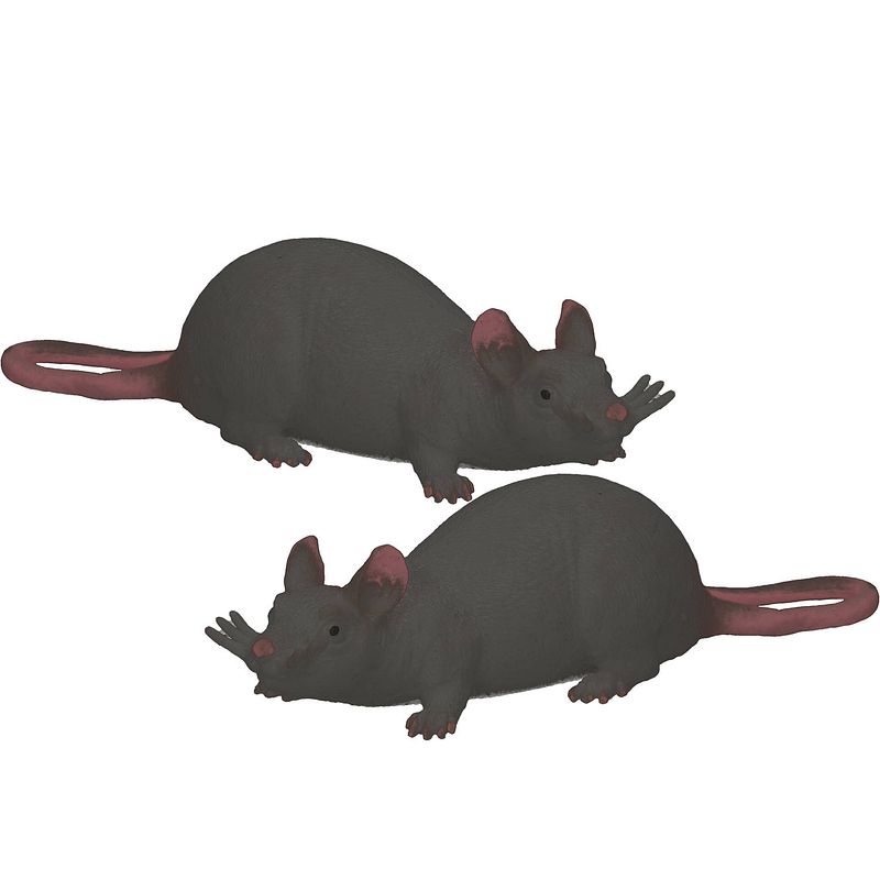 Foto van 2x stuks john toy - speelgoed halloween decoratie kunststof rat zwart 28 cm - speelfiguren