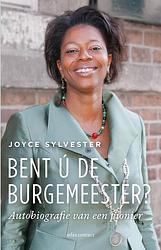 Foto van Bent ú de burgemeester? - joyce sylvester - ebook (9789045043326)