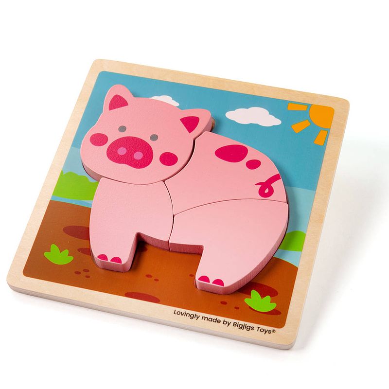 Foto van Bigjigs chunky lift out pig puzzle