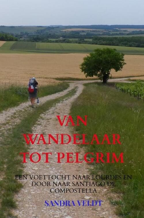 Foto van Van wandelaar tot pelgrim - sandra veldt - paperback (9789464351309)