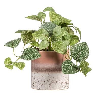 Foto van Kunstplant fittonia in pot - groen/bruin - 30 cm - leen bakker