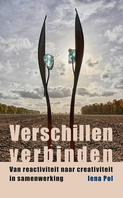 Foto van Verschillen verbinden - iena pol - ebook (9789492190444)